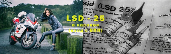 прущие крисы Беломорск
