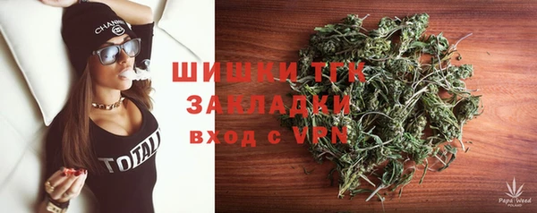 PSILOCYBIN Богданович