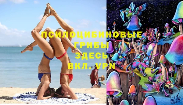 прущие крисы Беломорск